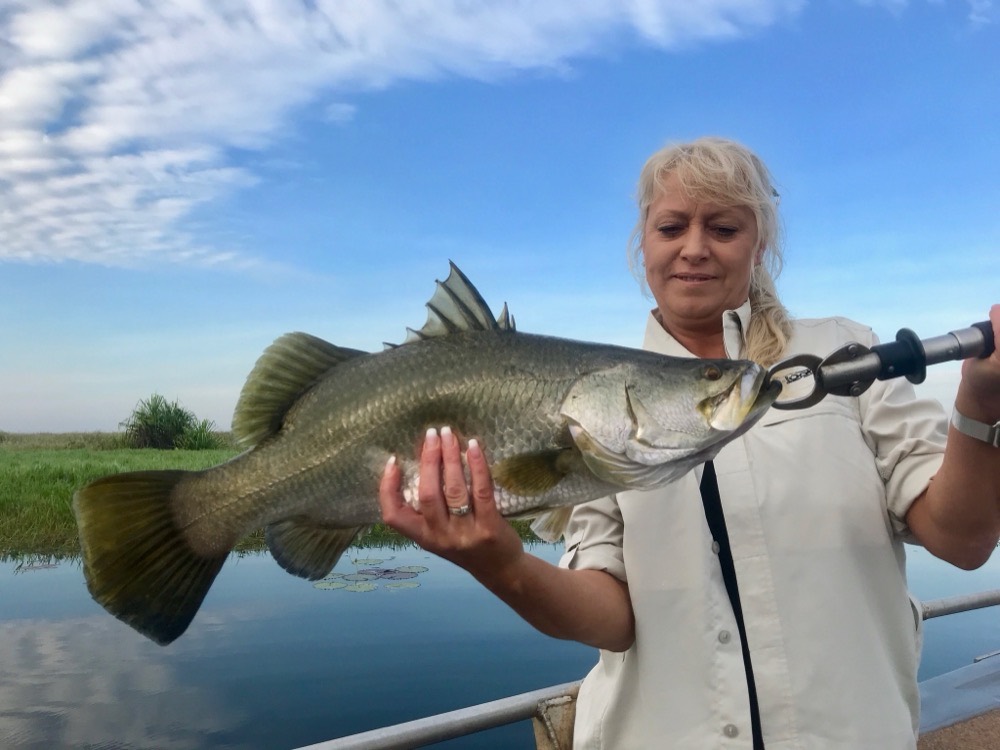 Angler holding a barramundi taken on a weedless soft plastic at Corroboree Billabong on the Mary River