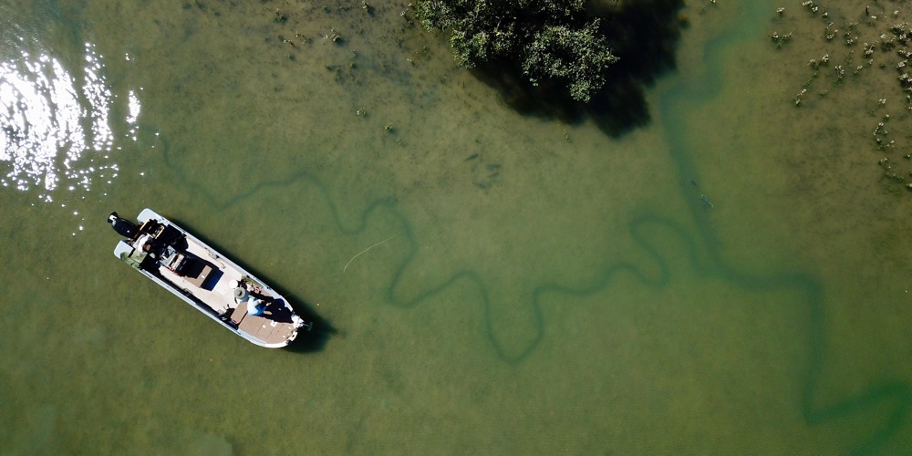 Drone view of the Barefoot boat on the clear Bynoe flats with a barra wake
