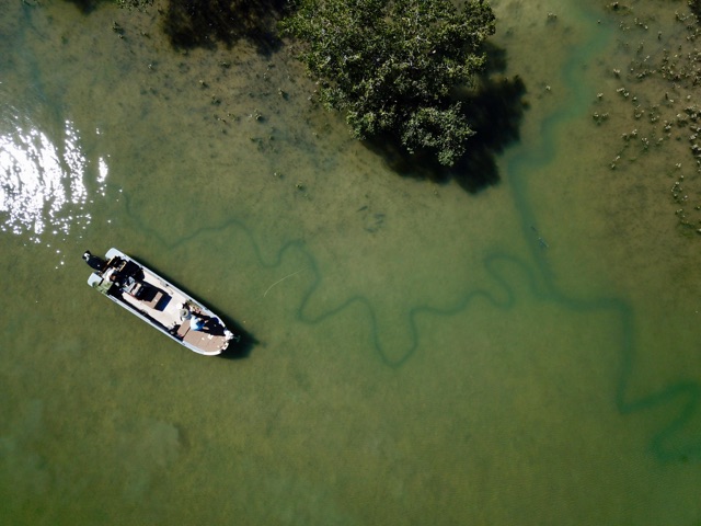 Aerial of the Barefoot boat tucked against a mangrove edge