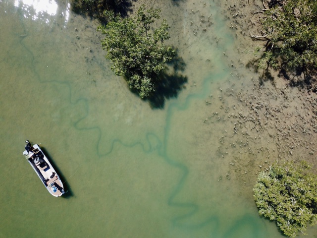 Drone view of the boat on glassy water at the mangrove line