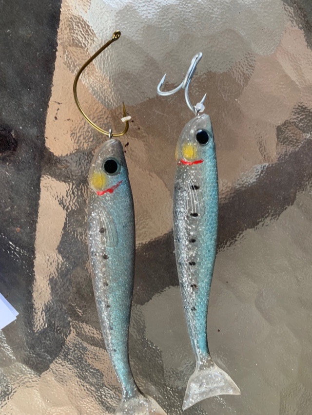 Two soft plastic jerk shads rigged weedless — Watty always trying new rigging tricks to draw a bite