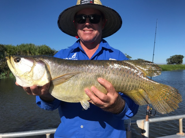 Angler with a saratoga on the Mary River, Northern Territory
