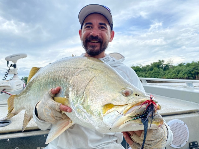 Golden barramundi held across both arms in the boat