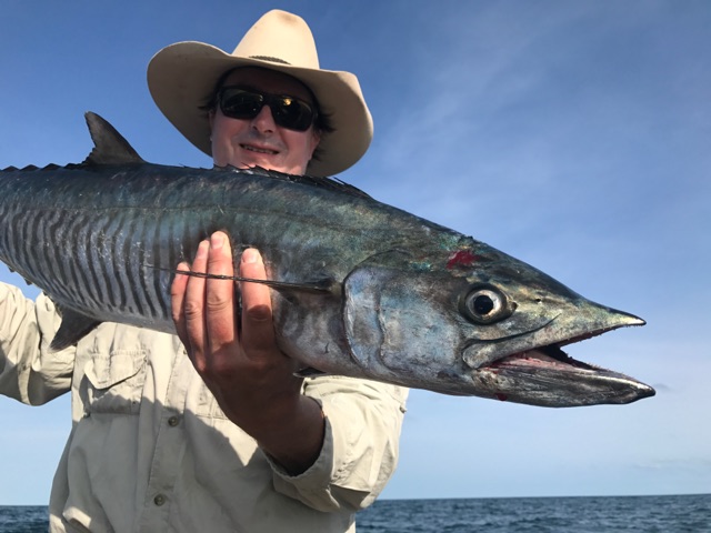 Spanish mackerel held up in the boat