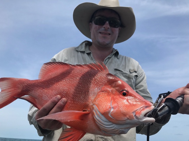 Vivid red emperor from the deeper water